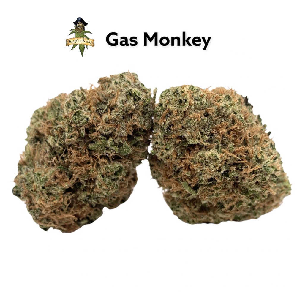 Gas monkey