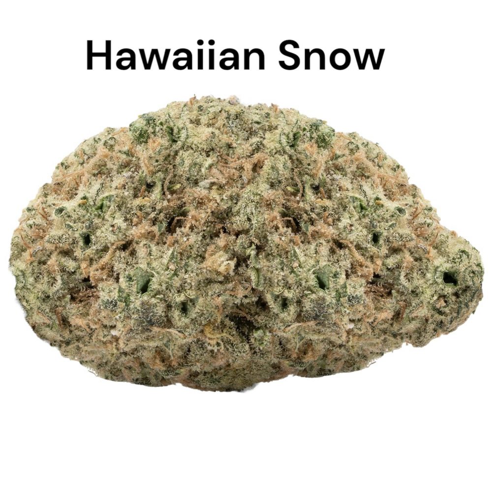 Hawaiian Snow