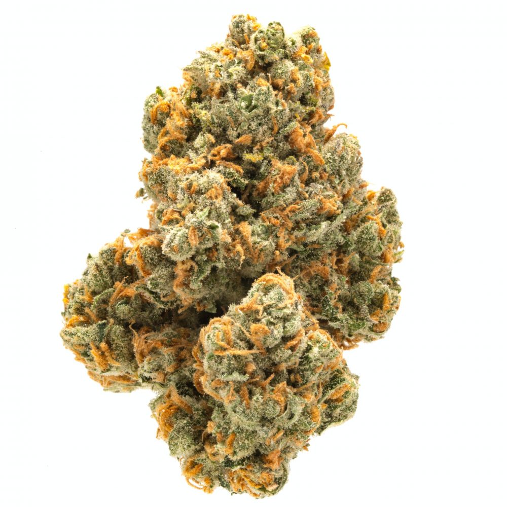SATIVA