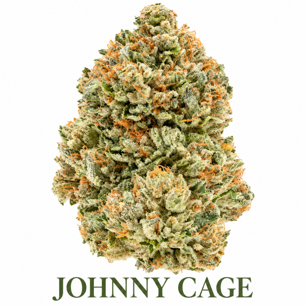 Johnny Cage